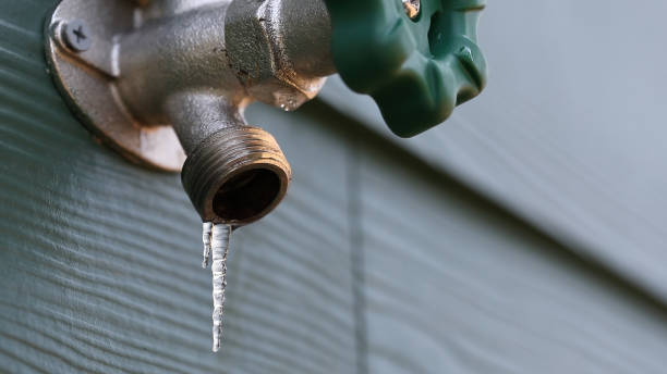 Best Leak Detection Services  in Mcalmont, AR